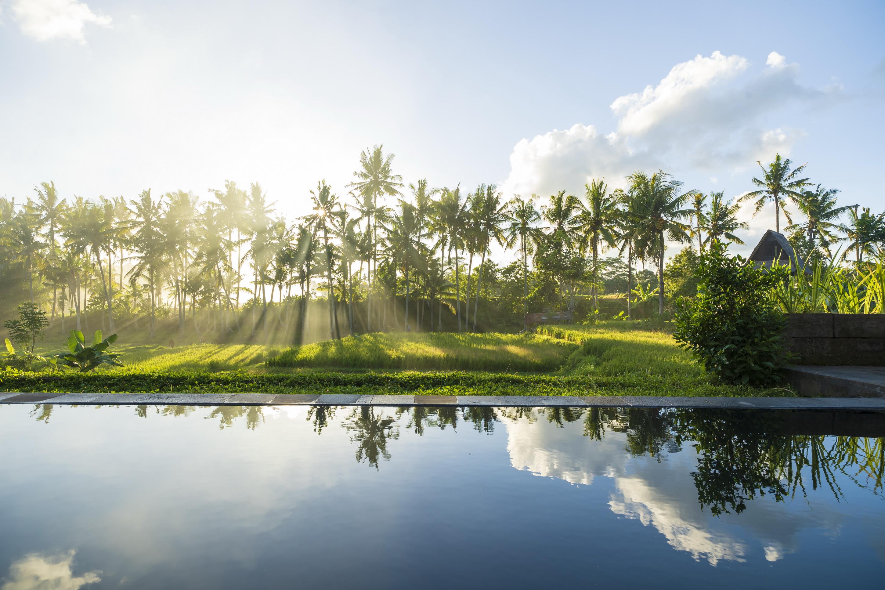 Amatara Agung Raka Otel Ubud Dış mekan fotoğraf