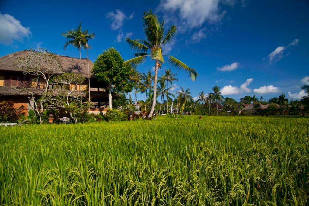 Agung Raka Villa Ubud Dış mekan fotoğraf